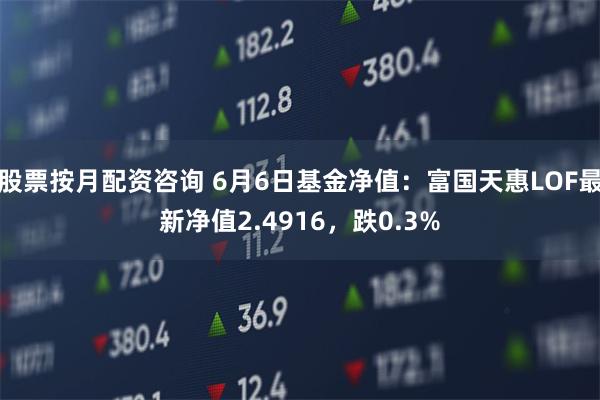 股票按月配资咨询 6月6日基金净值：富国天惠LOF最新净值2.4916，跌0.3%