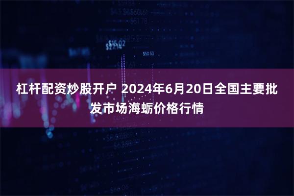 杠杆配资炒股开户 2024年6月20日全国主要批发市场海蛎价格行情