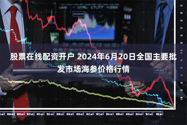 股票在线配资开户 2024年6月20日全国主要批发市场海参价格行情