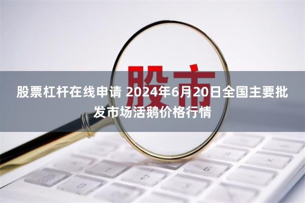 股票杠杆在线申请 2024年6月20日全国主要批发市场活鹅价格行情