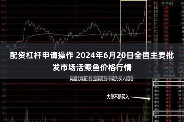 配资杠杆申请操作 2024年6月20日全国主要批发市场活鳜鱼价格行情