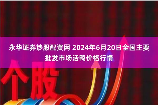 永华证券炒股配资网 2024年6月20日全国主要批发市场活鸭价格行情