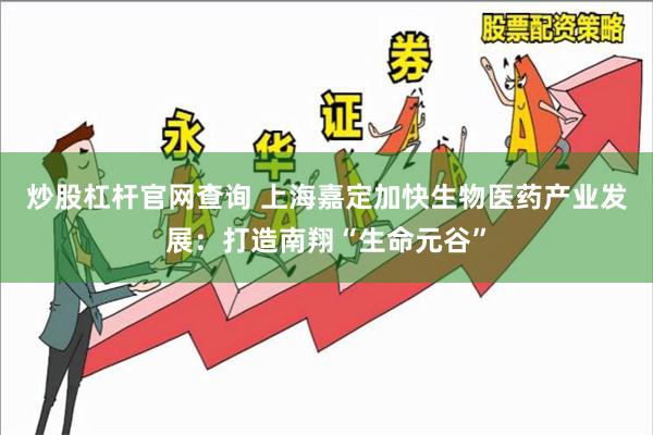 炒股杠杆官网查询 上海嘉定加快生物医药产业发展：打造南翔“生命元谷”
