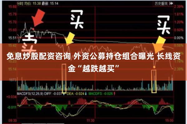 免息炒股配资咨询 外资公募持仓组合曝光 长线资金“越跌越买”