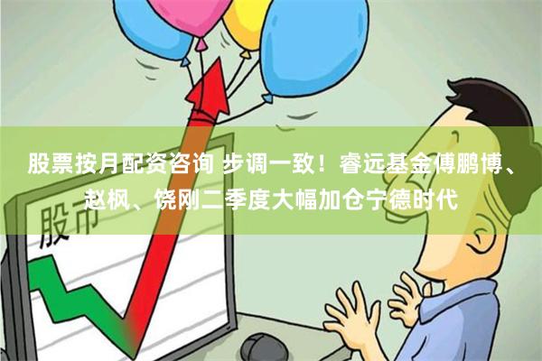 股票按月配资咨询 步调一致！睿远基金傅鹏博、赵枫、饶刚二季度大幅加仓宁德时代
