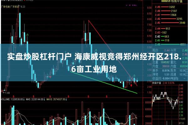 实盘炒股杠杆门户 海康威视竞得郑州经开区218.6亩工业用地