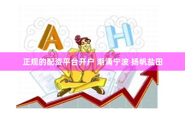 正规的配资平台开户 潮涌宁波 扬帆盐田