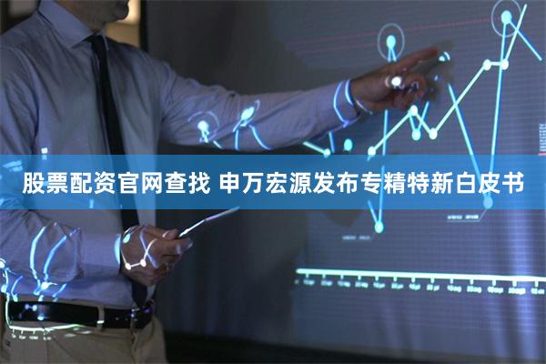 股票配资官网查找 申万宏源发布专精特新白皮书