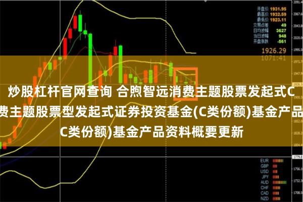 炒股杠杆官网查询 合煦智远消费主题股票发起式C: 合煦智远消费主题股票型发起式证券投资基金(C类份额)基金产品资料概要更新