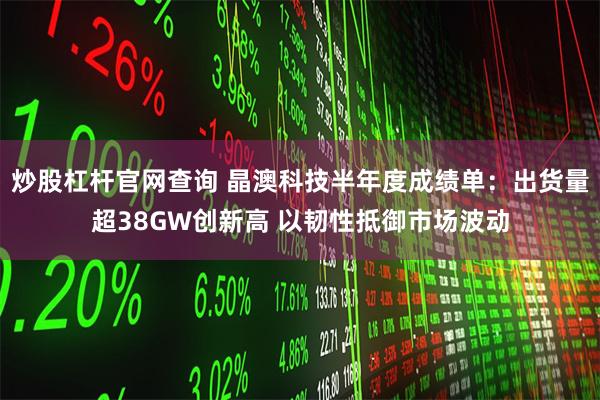 炒股杠杆官网查询 晶澳科技半年度成绩单：出货量超38GW创新高 以韧性抵御市场波动