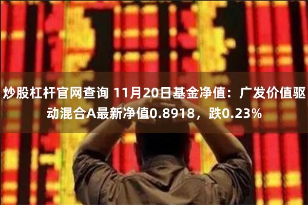 炒股杠杆官网查询 11月20日基金净值：广发价值驱动混合A最新净值0.8918，跌0.23%