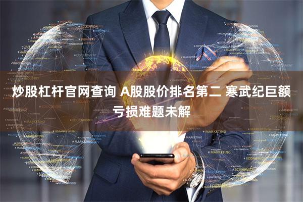 炒股杠杆官网查询 A股股价排名第二 寒武纪巨额亏损难题未解
