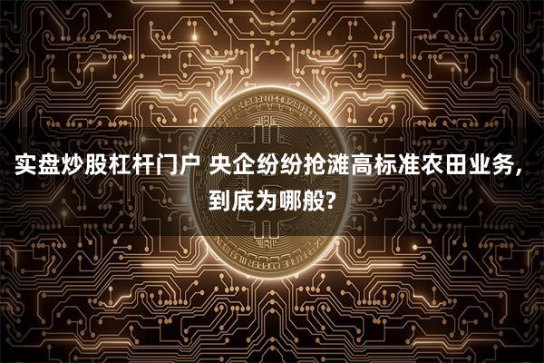 实盘炒股杠杆门户 央企纷纷抢滩高标准农田业务, 到底为哪般?