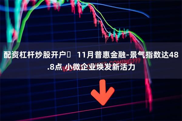 配资杠杆炒股开户	 11月普惠金融-景气指数达48.8点 小微企业焕发新活力