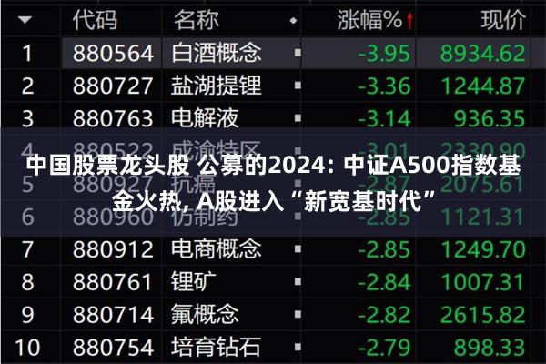 中国股票龙头股 公募的2024: 中证A500指数基金火热, A股进入“新宽基时代”