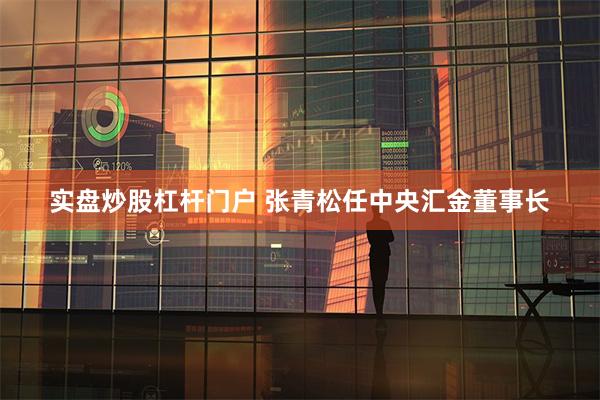 实盘炒股杠杆门户 张青松任中央汇金董事长